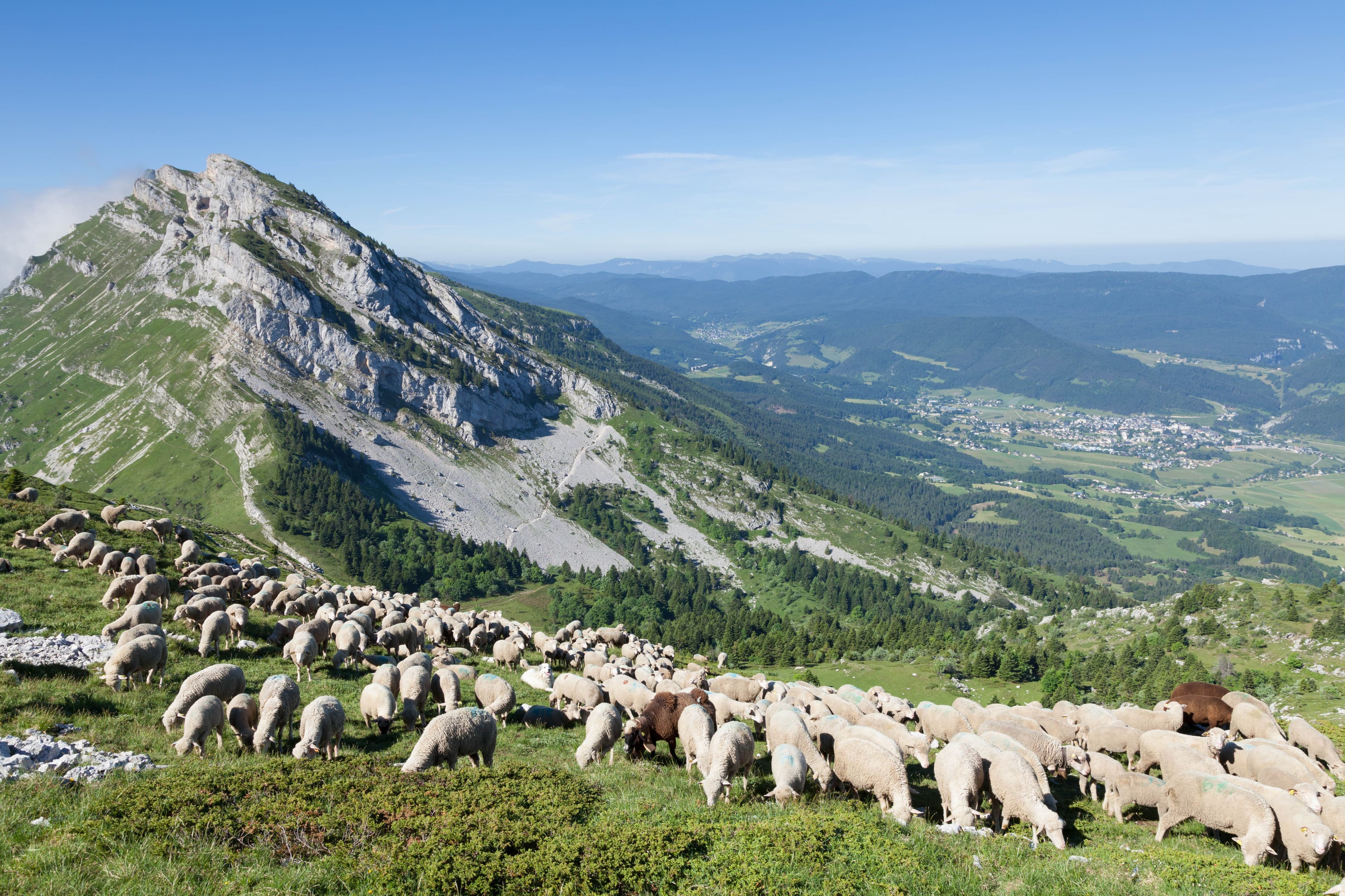 Séminaire en Auvergne