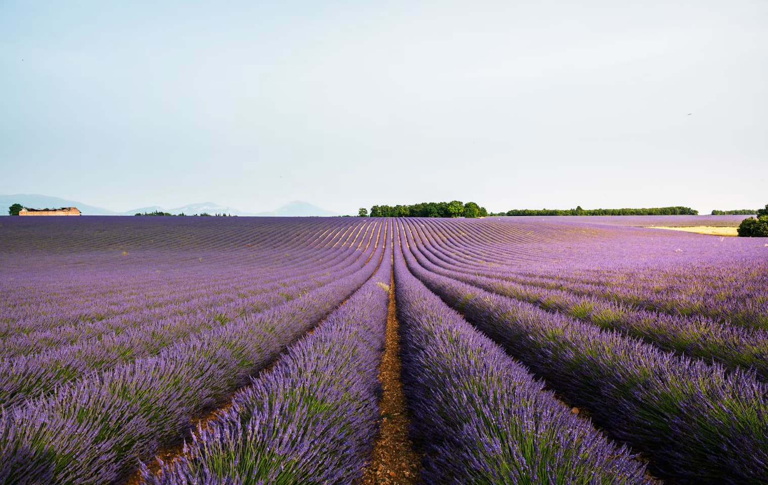Séminaire en Provence